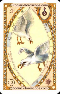The birds, monthly Love and Health horoscope January Virgo