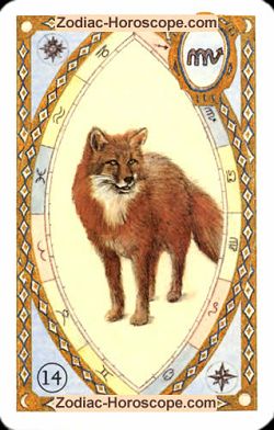 The fox, monthly Love and Health horoscope April Virgo