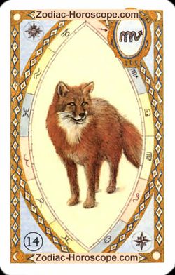 The fox, monthly Love and Health horoscope August Virgo