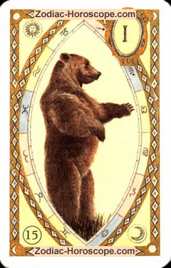 The bear, monthly Love and Health horoscope June Virgo