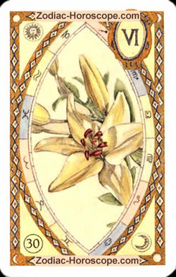 The lily, monthly Love and Health horoscope June Virgo