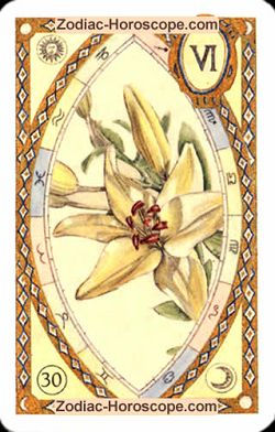 The lily, monthly Love and Health horoscope October Virgo