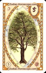 The tree astrological Lenormand Tarot