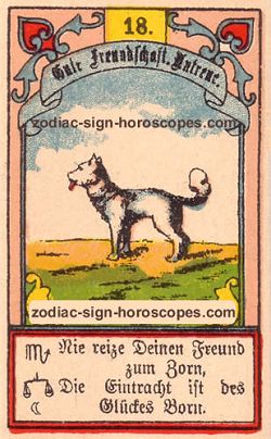 The dog, monthly Virgo horoscope February
