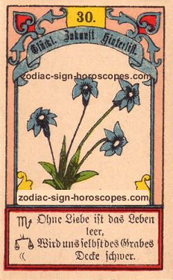 The lily, monthly Virgo horoscope July